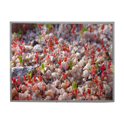 İyi bir fiyat. LM201W01-A6K2 20.1 inç LCD Panel 1680*1050 LCD Ekranı çevrimiçi