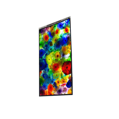 İyi bir fiyat. BS060WKE-LB0-6Q00 6.0 inç LCD Ekranı Cep telefonu için LCD ekran PANEL çevrimiçi