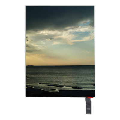İyi bir fiyat. LP079X01-SMAV 7.9 inç LCD Ekran 768*1024 LCD Panel çevrimiçi
