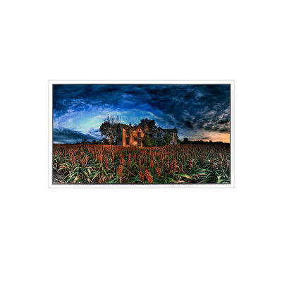 İyi bir fiyat. 15.6 inç GV156QDB-N80 2560*1600 40 pinlik LCD Ekran Ekranı çevrimiçi