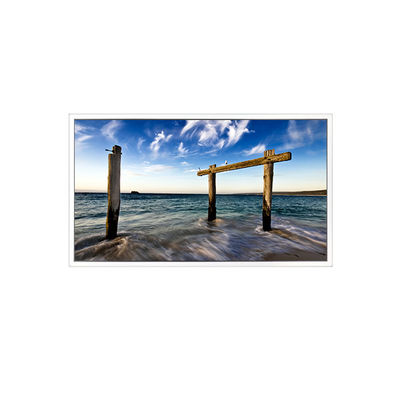 İyi bir fiyat. 21.5 inç GV215FHM-N12 1920*1080 LVDS LCD Ekran Monitoru çevrimiçi