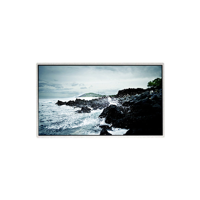 İyi bir fiyat. 1366*768 HF236WHB-F20 23.6 inç LCD Ekran Ekranı çevrimiçi