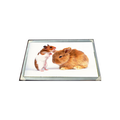 İyi bir fiyat. LM170E03-TLG6 17.0 inç 16.7M LCD Panel Modülü çevrimiçi