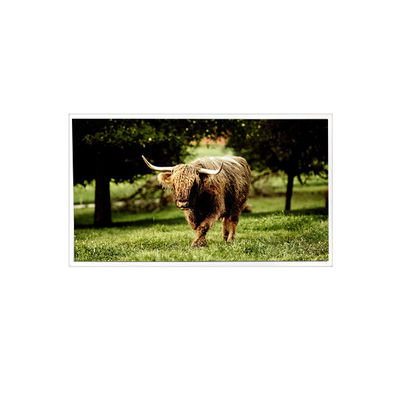 İyi bir fiyat. 20.1inç TDA201-001V03 1600*1200 900 cd/m2 LVDS LCD Ekran Panelli çevrimiçi