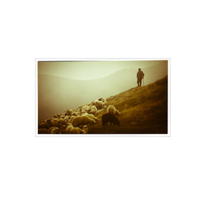 İyi bir fiyat. QV140FHM-N48 14.0 inç 1920*1080 800:1 60Hz eDP 30 pinlik LCD Ekran çevrimiçi