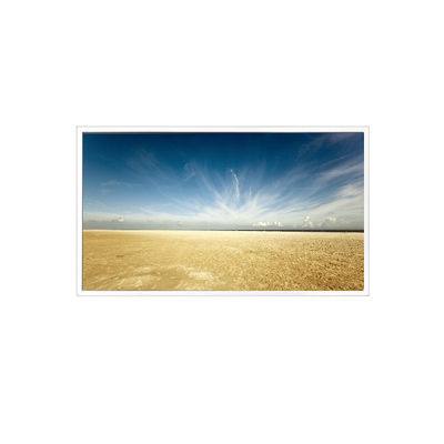 İyi bir fiyat. 800*1280 10.1 inç TV101WXM-NM0 500 cd/m2 LCD Panel for Pad Tablet çevrimiçi