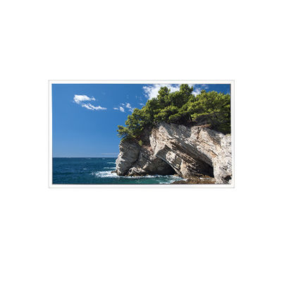 İyi bir fiyat. TV101WXM-NM1 800*1280 10.1 inç 39 pin 8S4PWLED LCD Panel çevrimiçi