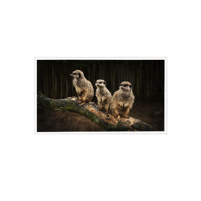 İyi bir fiyat. RV150U0M-NI0 1600*1200 15.0 inç LCD Ekran Panel Ekranı çevrimiçi