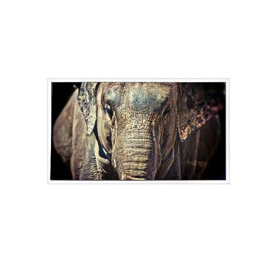 İyi bir fiyat. VL-FS-7HD 1280*768 Otomobil Ekranı için 7.0 inçlik LCD Ekran çevrimiçi