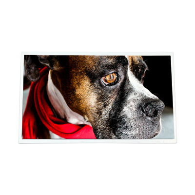 İyi bir fiyat. M170EGE-L20 Rev.C3 17.0 inç 1280*1024 12S4PWLED LCD ekran paneli çevrimiçi