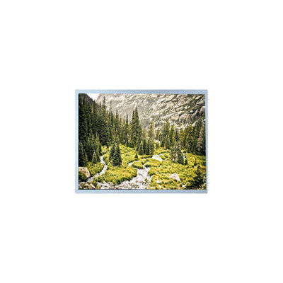 İyi bir fiyat. 1280*800 10.1 inç G101EAN02.A WLED 1000 cd/m2 LCD Ekran çevrimiçi