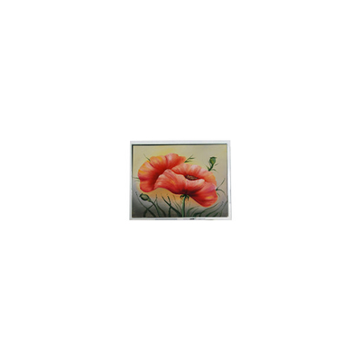İyi bir fiyat. T-55548GD057JU-LW-ACN 5.7 inç dokunmatik LCD ekran paneli çevrimiçi