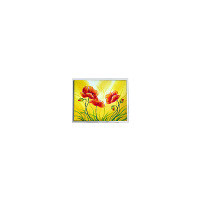 İyi bir fiyat. 800*480 T-55711D080J-LW-A-AAN 8.0 inç 1000 cd/m2 LCD ekran çevrimiçi