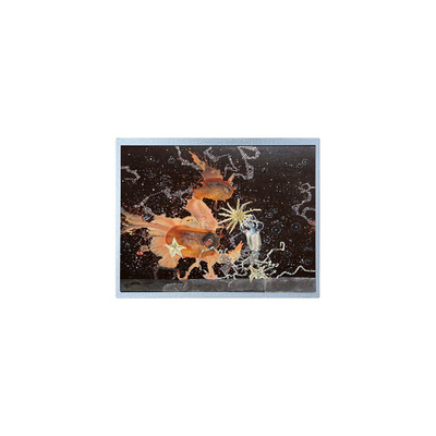 İyi bir fiyat. 12.1 inç P1210WXF1MA00 1280*800 WLED TFT LCD Panel çevrimiçi