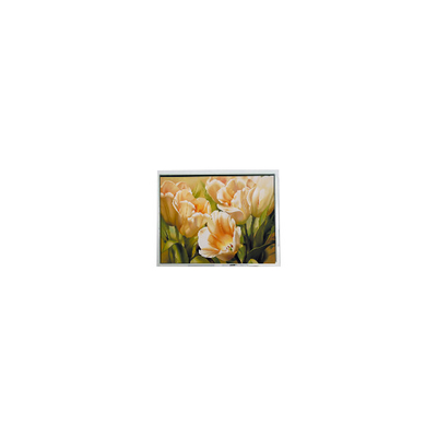İyi bir fiyat. Sıcak satış 5.0 inç COM50T5117GTC 320*240 67 pinlik LCD ekran çevrimiçi