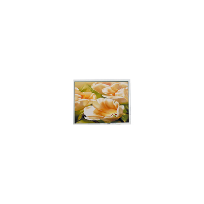 İyi bir fiyat. COM50T5123XLC 320*240 Endüstriyel için 5.0 inçlik LCD ekran çevrimiçi