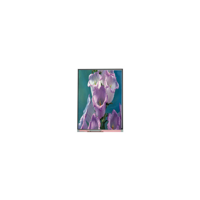 İyi bir fiyat. 7.0 inç C070AWPE-0 800*480 TFT LCD Ekran LCD Panel Industrial çevrimiçi