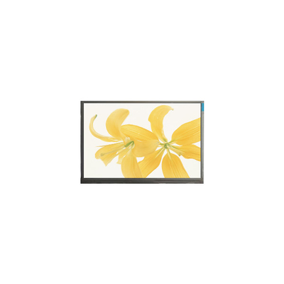 İyi bir fiyat. 10.4 inç LPM104GNX1 R1 TFT LVDS 262K LCD Panel Monitor çevrimiçi