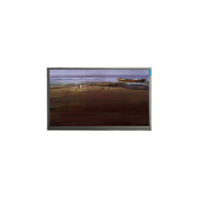 İyi bir fiyat. stokta 1024*600 10.1 inç P101GWT9 R4 TFT LCD Panel ekranı çevrimiçi