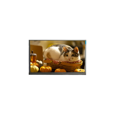 İyi bir fiyat. N140BGE-P23 14.0 inç 60Hz 262K LCD Panel Ekranı çevrimiçi
