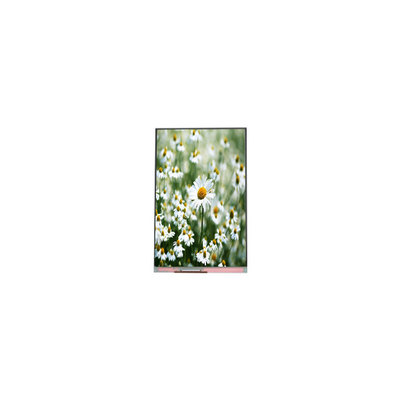 İyi bir fiyat. 1080*1920 5.5 inç PP055IA-03N LCD ekran Modülü Panel çevrimiçi