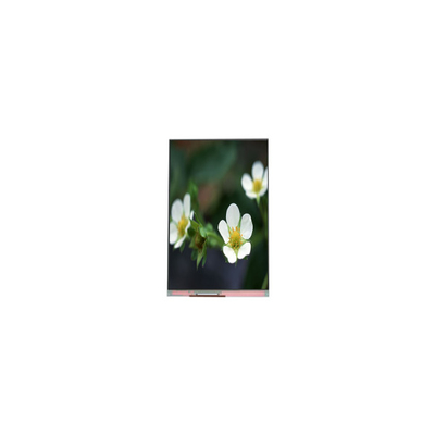 İyi bir fiyat. PP055IA-09B 1440*2560 5.5 inç 16.7M LCD ekran çevrimiçi