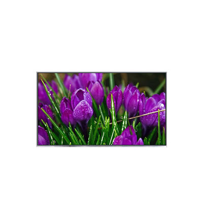 İyi bir fiyat. B116HAT01.0 11.6 inç orijinal LCD dizüstü bilgisayar paneli çevrimiçi