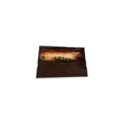 İyi bir fiyat. P0700WSF2MB00 Endüstriyel için 7.0 inç 1024*600 LCD Ekranı çevrimiçi