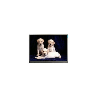 İyi bir fiyat. 800*1280 F080A27-6T1 8.0 inç TFT LCD Panel Ekranı çevrimiçi