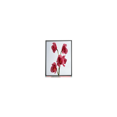 İyi bir fiyat. 480*960 C060SWY7-0 6.0 inç LCD ekran çevrimiçi