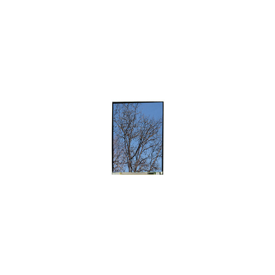 İyi bir fiyat. 5.5 inç LS055T1SX29 1080*1920 FHD LCD ekran paneli çevrimiçi