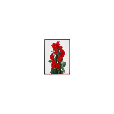 İyi bir fiyat. Yeni 6.2 inç C062SWP1-1 800*480 LCD Ekran çevrimiçi
