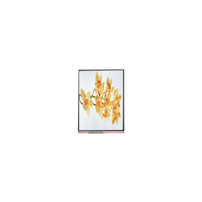İyi bir fiyat. C060SWY2-1 6.0 inç 480*854 TFT LCD Ekran Ekranı çevrimiçi