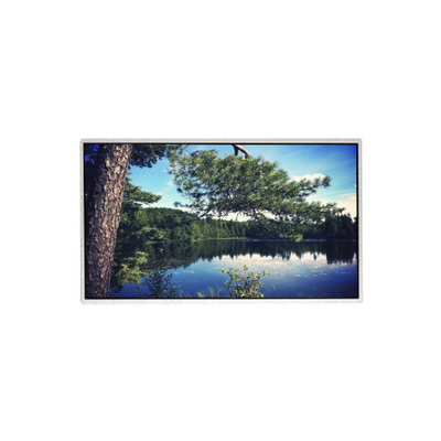 İyi bir fiyat. 21.5 inç orijinal HM215WU3-501 TFT LCD ekran paneli çevrimiçi