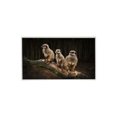 İyi bir fiyat. HR236WU1-310 23.6 inç 1920*1080 LCD Ekran TFT LCD Panel çevrimiçi