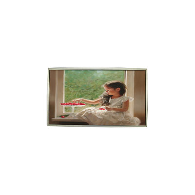 İyi bir fiyat. 23.0 inç LTM230HT05-V 30 Pins 1920*1080 LCD Ekran Paneli çevrimiçi