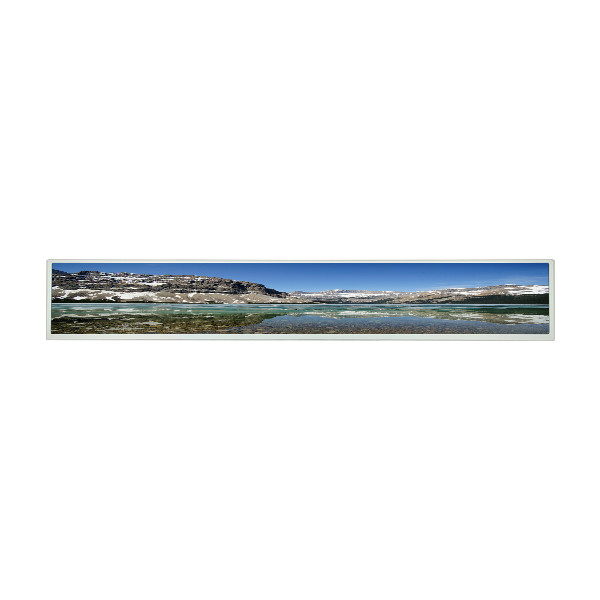 AUO LCD Ekran Paneli P420IVN03.0 42.0 inç 1920(RGB)×480 tft lcd ekran modülü
