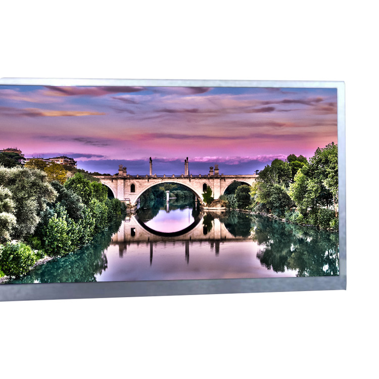 A - HannStar Modülü HSD101JFW1-C11 10.1 İnç 117PPI için Si TFT LCD Panel