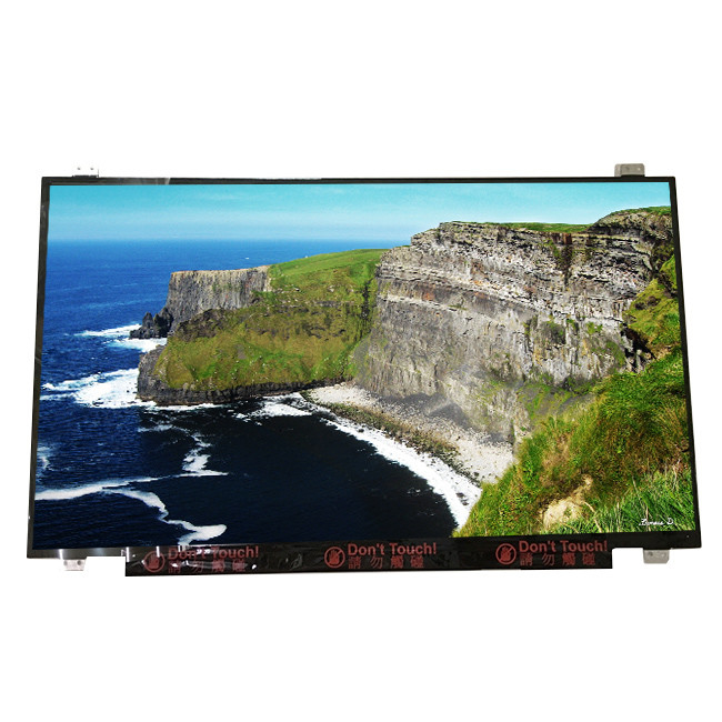 Boyutu 17.3 inç B173RTN02.1 dizüstü bilgisayar için 30 pinli TFT LCD Ekran