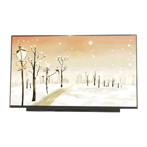Yeni 17.3 inç B173HAN04.0 1920*1080 127PPI AUO için LCD Ekran