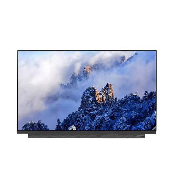 B156ZAN03.2 boyutu 15.6 inç 40 pin sıcak satılan LCD ekran