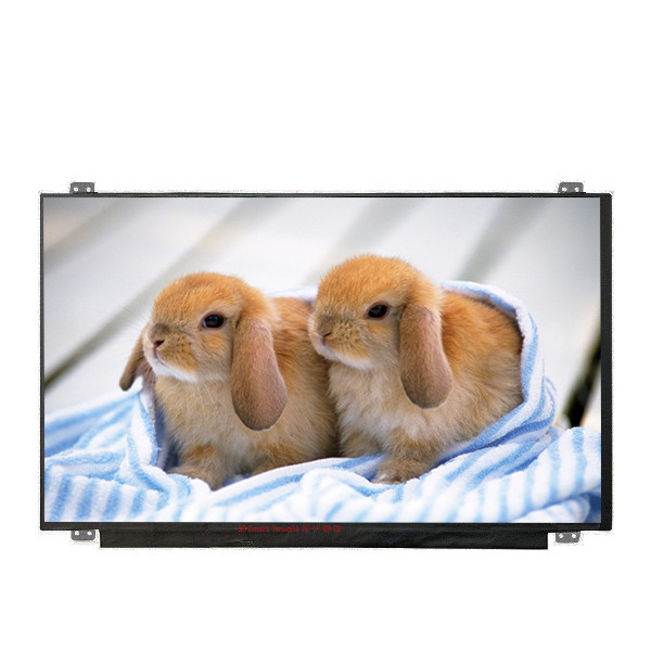 B156HAN04.4 boyutu 15.6 inç LCD ekranı LED sürücüsü ile sağlayın