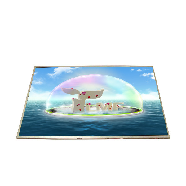 Boyutu 15.4 inç 60Hz 262K a-Si TFT-LCD B154EW02 V6 LCD Panel