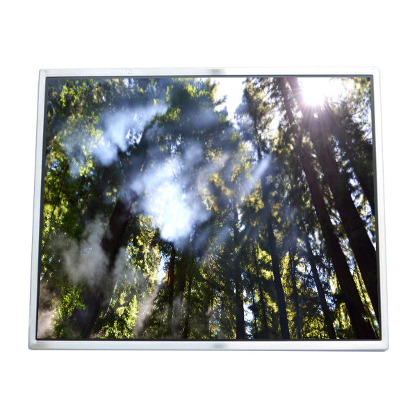 LTM190M2-L01 LCD ekran 19.0 inç Ekran LVDS 30 pinli bağlantı LCD modülü