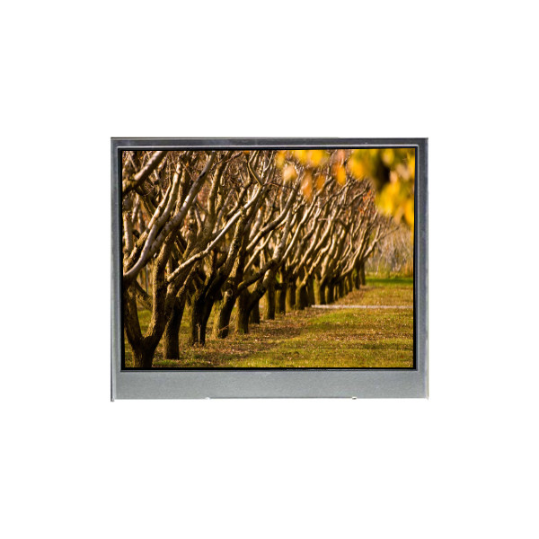 BF051FBM-AK1-7D02 5.1 inç LCD ekran Cep telefonu için LCD ekran