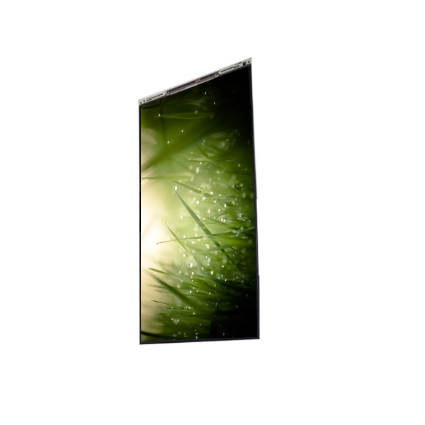 BS055FHG-E41-6C00 5.5 inç LCD Ekranı Cep telefonu için LCD ekran PANEL