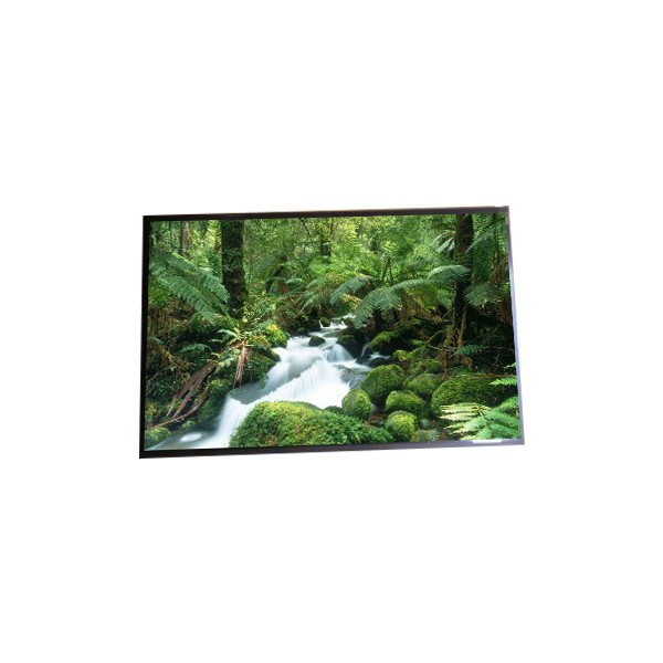 LP170WQ2-SPB1 17.0 inç LCD Panel 2560*1600 Laptop için LCD Ekran
