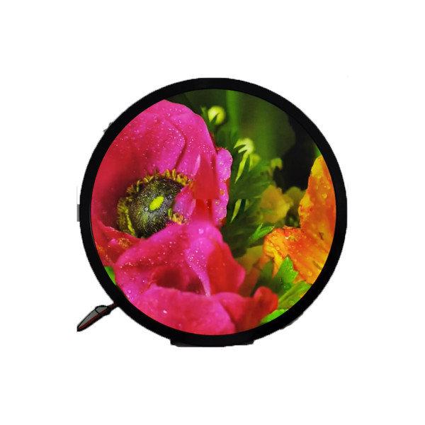 23.6 inç 1280*1280 DV236FBM-N00 1500 cd/m2 Yuvarlak Ekran için LCD Ekran