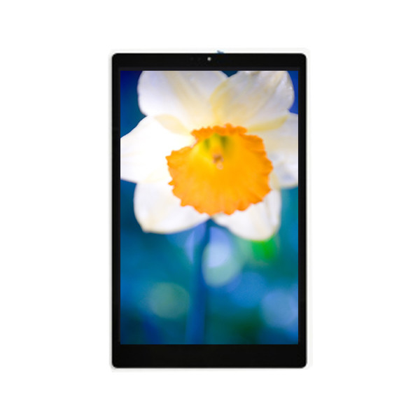 TV101WXM-NLA 10.1 inç 800*1280 LCD Ekran Ekranı Pad Tablet için