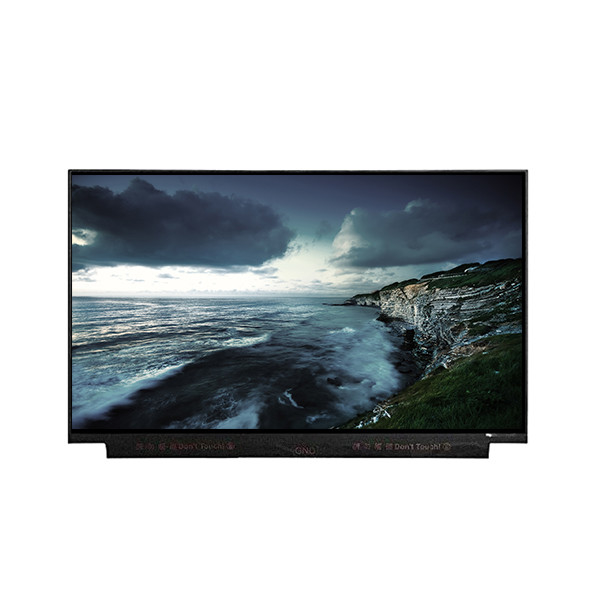 IT1160030 BOE için 11.6 inçlik LCD panelli 30 pinli 1366*768 TFT LCD Ekran
